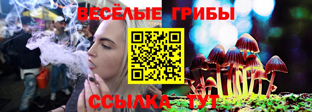 купить  сайты  Галлюциногенные грибы Cubensis  Псилоцибиновые грибы Psilocybine cubensis  Вход с VPN  Лысьва 
